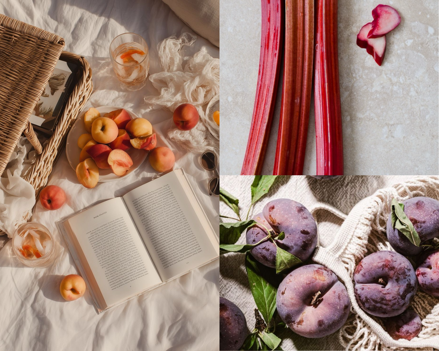 Black Plum & Rhubarb Wax Melts | Studio-Fika
