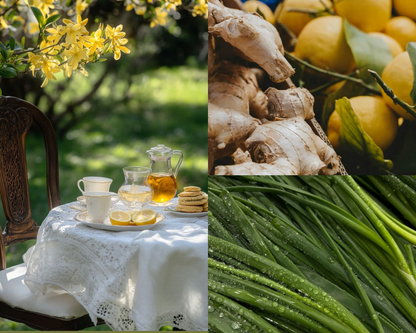 Lemongrass & Ginger Wax Melts | Studio-Fika
