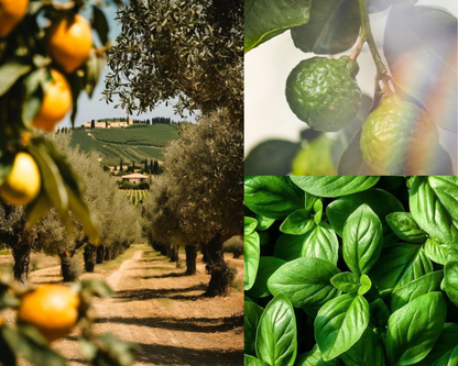 Sicilian Lime & Basil Wax Melts | Studio-Fika